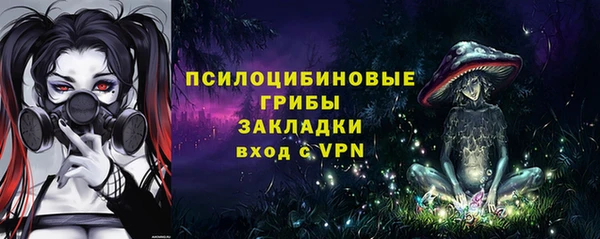 прущий лед Алзамай