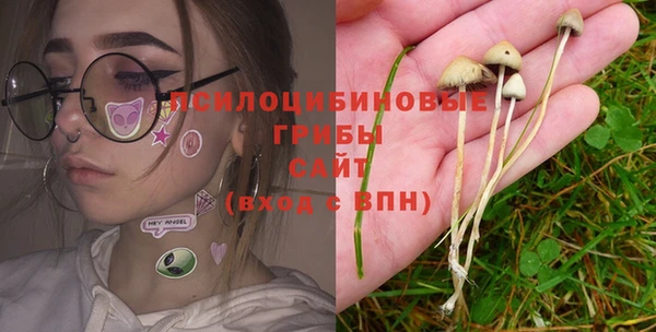 соль курить ск Алексин