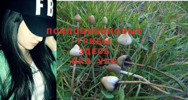 кокаин VHQ Алексеевка