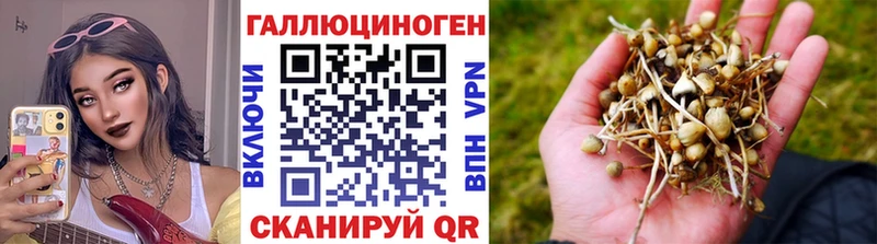 Галлюциногенные грибы мухоморы  кракен как зайти  Щигры 
